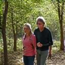 A group of friends hiking a scenic trail, encouraging each other, representing a challenge group.